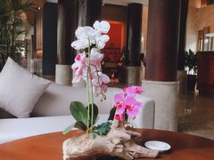 -剑河仰阿莎温泉小镇