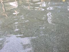 -鱼凫国都大酒店温泉