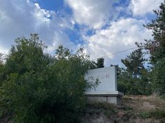 -红山国家森林公园