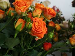 -匡小敏手工烘培(大地金墅店)