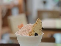-猫里有甜