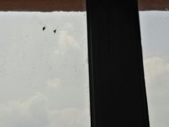 -沈阳玫瑰大酒店