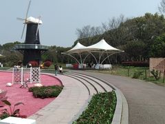 -上海鲜花港