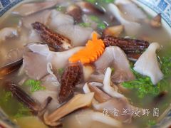 -百丈园(陈村店)