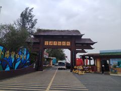 -北海金海湾红树林生态旅游区