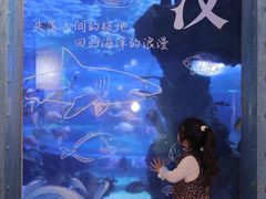 -海合安武汉极地海洋公园
