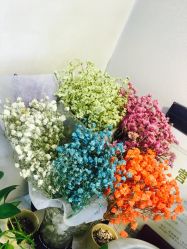 -NEW LOOK-绿麓 · 美甲美睫脱毛工作室