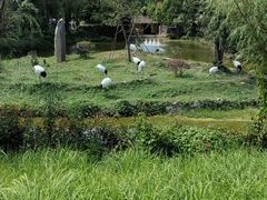 -杭州野生动物世界