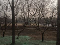 -北坞公园