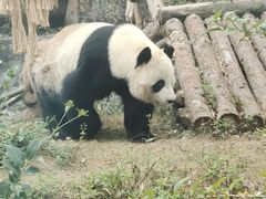 -泉州海丝野生动物世界