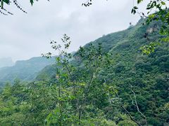 -老象峰