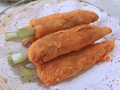-丁老爷子苏香圆