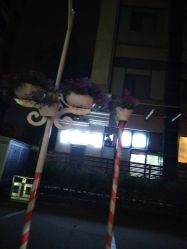 -天禧嘉福璞缇客酒店·宴会厅