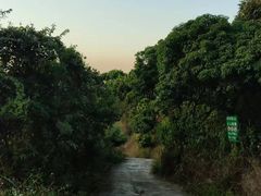 -阳台山森林公园