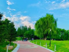 -莫子山公园