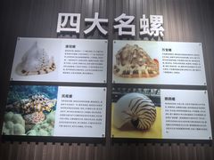 -贝壳王国博物馆