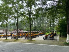 -黄海国家森林公园