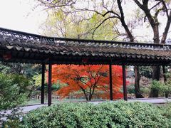 -上海醉白池公园
