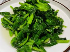 清炒豌豆尖-雲蜀龙阁·金牌水煮鱼(方庄店)