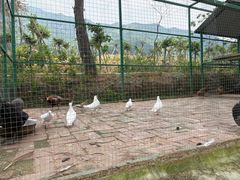 -牛鱼嘴原始生态风景区