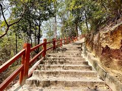 -广州白江湖森林公园