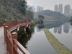 -重庆彩云湖湿地公园