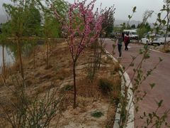 -千姿湖生态旅游景区