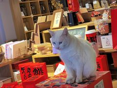 -新月集庭院咖啡馆(老邮局店)