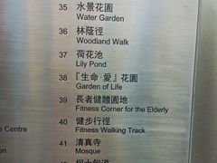 -九龙公园