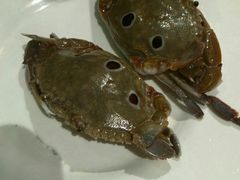 -春风十里海鲜火锅烤肉自助餐厅(华强店)