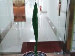 -学习谷日语培训日本留学·多语种外语教学(海淀人大分部)