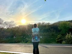-羊山湖公园