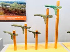 -青岛市博物馆