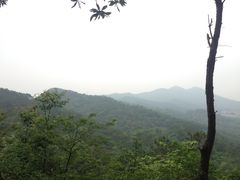 -风云岭森林公园