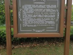 -九科绿洲