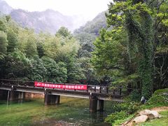-祁门牯牛降观音堂风景区