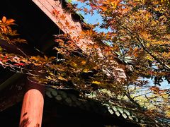 -阅江楼风景区