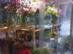 -花十悦·鲜花咖啡餐厅(振业城一期店)