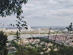 -顺峰山公园