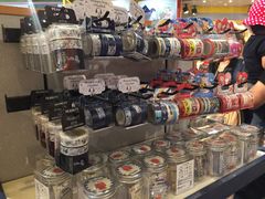 -哈利波特魔法世界