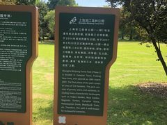景点-上海滨江森林公园
