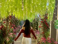 -正佳雨林生态植物园