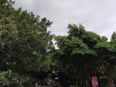 -黄埔古港