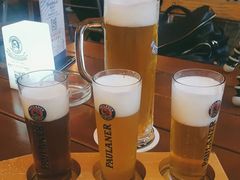 鲜酿小麦啤酒-Paulaner·德国帕拉娜自酿啤酒餐厅(海上世界店)