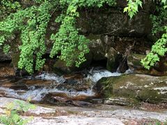 -黑河国家森林公园