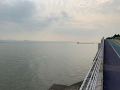 -贡湖湾湿地公园