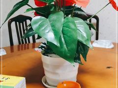 -全乐鱼馆·淳牌有机鱼直营店
