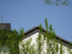 -杭州西子湖四季酒店-WL BISTRO西湖餐厅(灵隐路店)