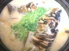 大金湖鱼头-新悦·霞浦海鲜生(上下杭店)