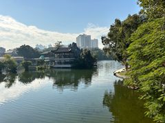 -荔湾湖公园